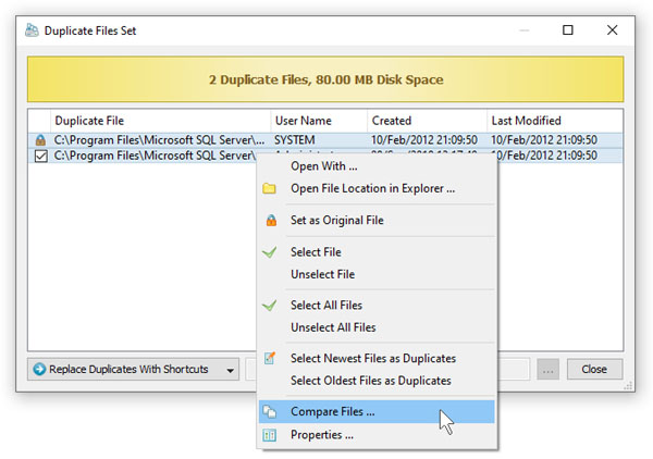 DupScout Search Duplicate Files Set
