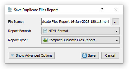 DupScout Save Duplicate Files Search Report
