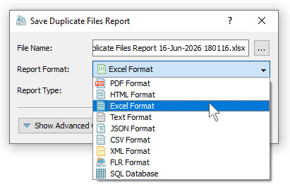 DupScout Save Duplicate Files Search Excel Report
