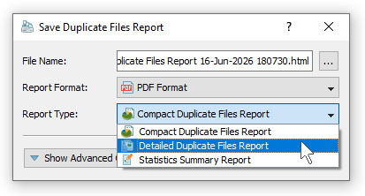 DupScout Save Duplicate Files Search PDF Report